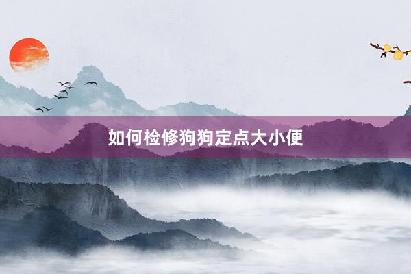 如何检修狗狗定点大小便