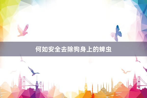 何如安全去除狗身上的蜱虫