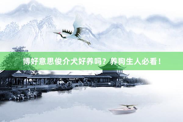 博好意思俊介犬好养吗?养狗生人必看!